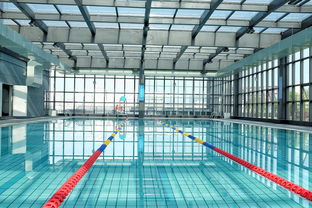 kaiyun sports-世界游泳锦标赛中国运动员连续夺牌,世界游泳锦标赛中国运动员连续夺牌几次